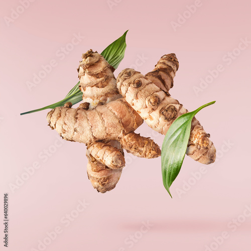 Fresh turmeric root falling in the air isolated © Agave Studio