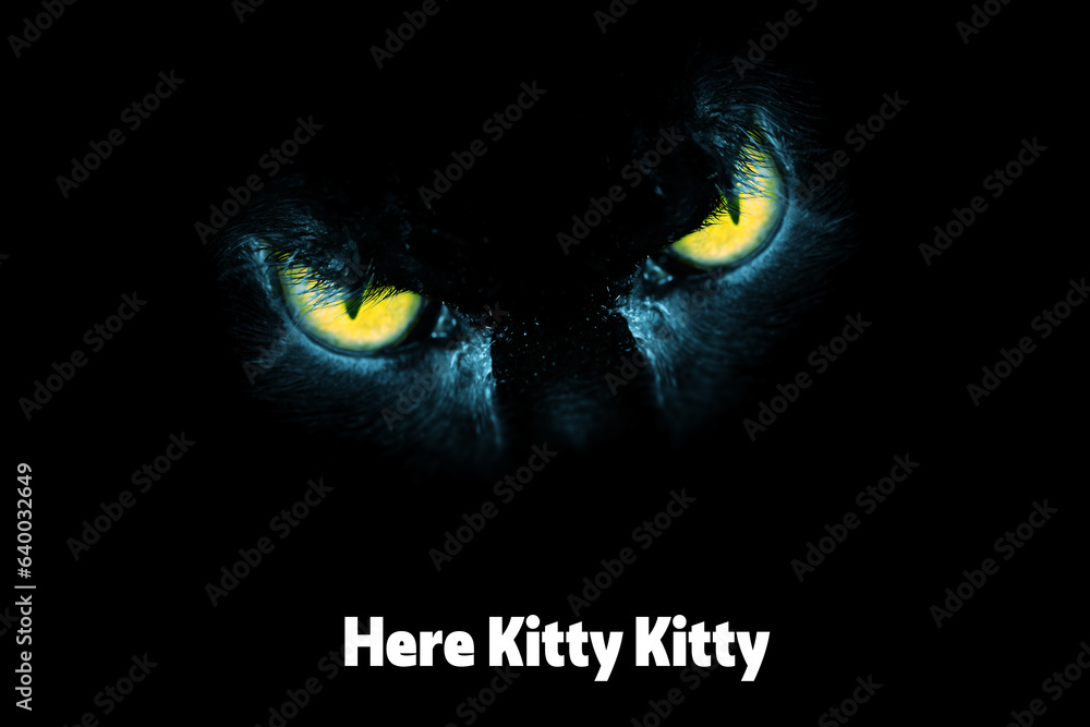 Scary cat eyes on a black background