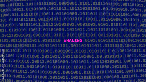 Cyber attack whaling. Vulnerability text in binary system ascii art style, code on editor screen. Text in English, English text