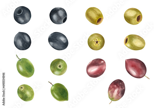 Green, black, red olives set isolated on white background. Watercolor hand drawn botanical illustration. Can be used for menu, product package and food design
