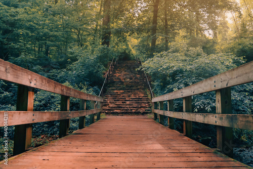 Fototapeta Naklejka Na Ścianę i Meble -  Wooden Bridge in the Forest