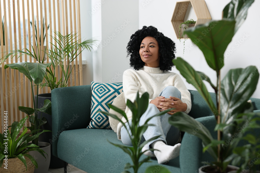 Relaxing atmosphere. Woman sitting on sofa near beautiful houseplants at home Relaxing atmosphere. Woman sitting on sofa near beautiful houseplants at home