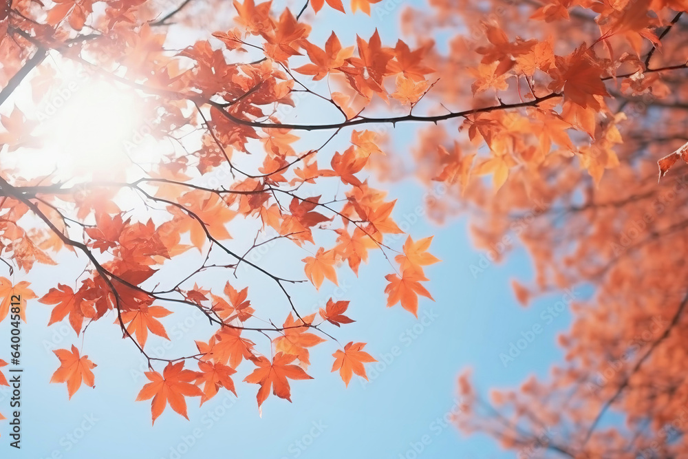 Red maple leaves on top of tree on blue sky background Red maple leaves on top of tree on blue sky background
