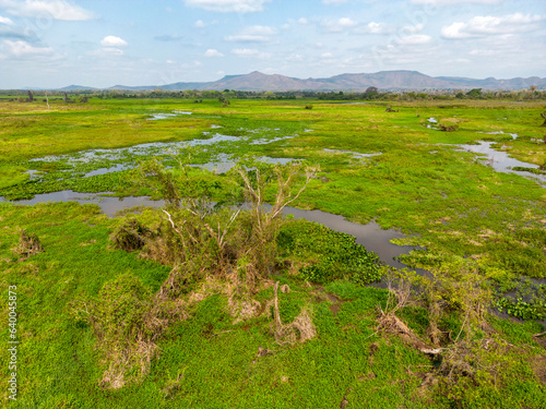Drone shot of the bright green flooded grasslands of the Pantanal in Brasil, the world's largest freshwater wetland - Traveling South America 