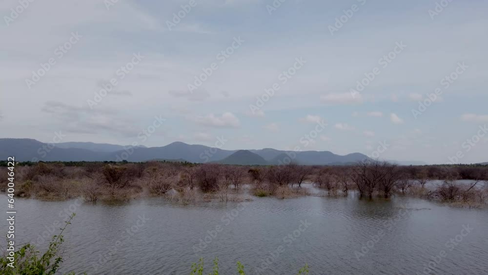 Mysuru, Karnataka, India-August 22 2023; A Pan view of a Serene Lake with water plants against the Mountain range of the Western Ghats in India,
Mysuru, Karnataka, India-August 22 2023; A Pan view of a Serene Lake with water plants against the Mountain range of the Western Ghats in India,