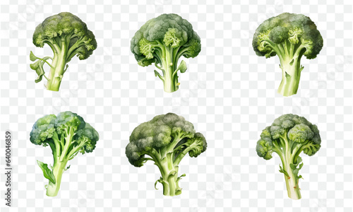 Broccoli in watercolor graphic element