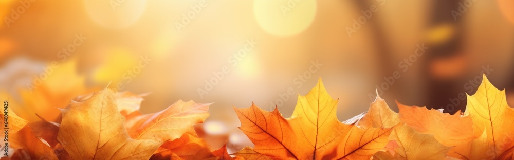 With orange leaves on a blurred background, this is a colorful universal natural autumn panorama for design. With orange leaves on a blurred background, this is a colorful universal natural autumn panorama for design.