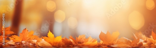 With orange leaves on a blurred background, this is a colorful universal natural autumn panorama for design.