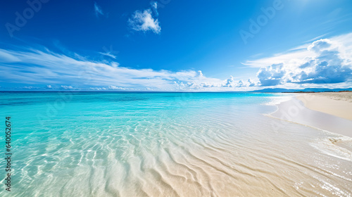 Canvastavla 南国の白い砂浜の風景画像