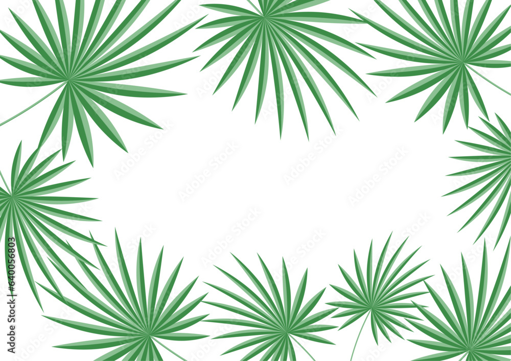 Vector frame - fanned palm leaves isolated on white background.