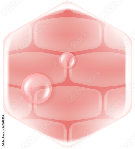 Hyaluronic acid hair and skin solutions, pink collagen serum drop into skin cells.