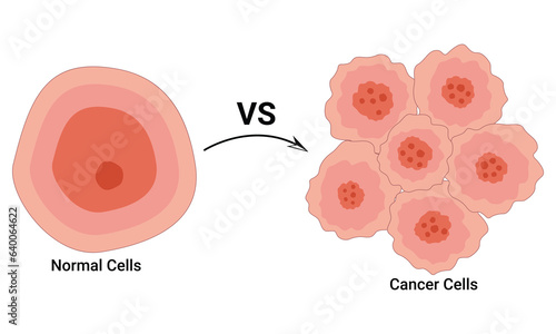 Normal Cell and Cancer Cell Design Vector Illustration