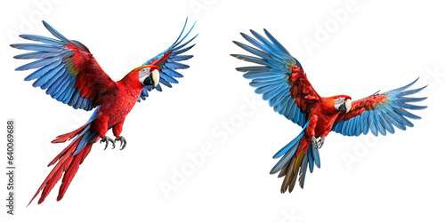 Photographie Scarlet macaw parrot flying isolated on transparent background Generative AI