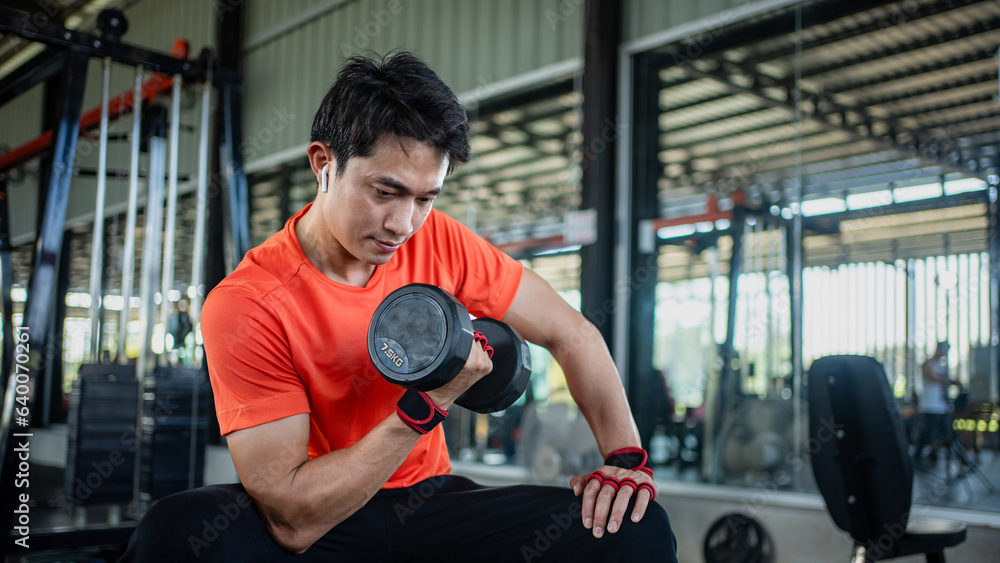 young man working out with dumbbells in the gym young man working out with dumbbells in the gym