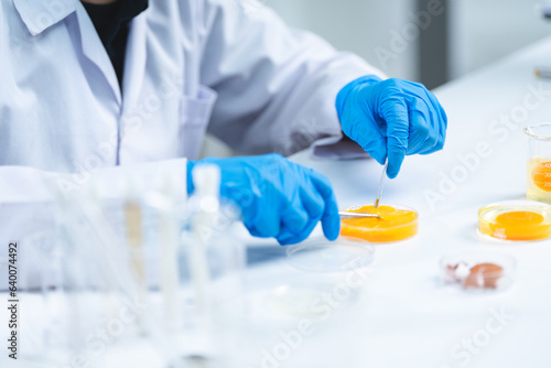 laboratory of chicken egg i...