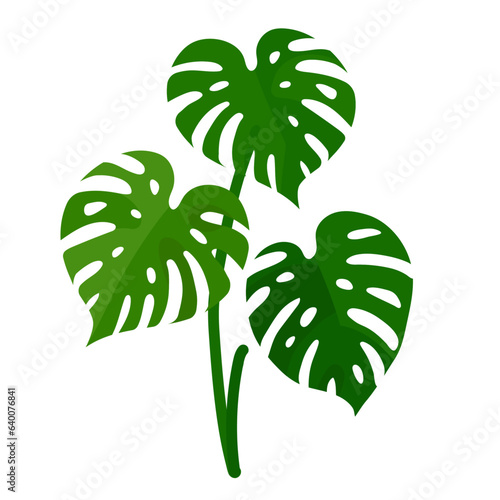monstera leaves flat vector illustration clipart isolated on white background