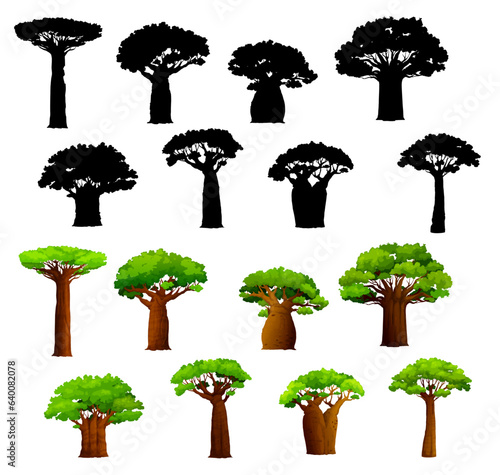 African baobab trees and silhouettes. Vector african savanna baobabs with broad trunks and green leaves. Isolated tropical trees set, drought resistant plants of Africa, Madagascar and Zanzibar