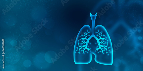 Fototapeta Naklejka Na Ścianę i Meble -  Healthy Human Lungs 2d illustration
