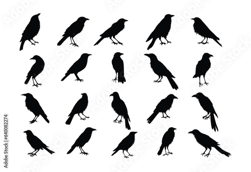 crows set ,hand drawn silhouette.