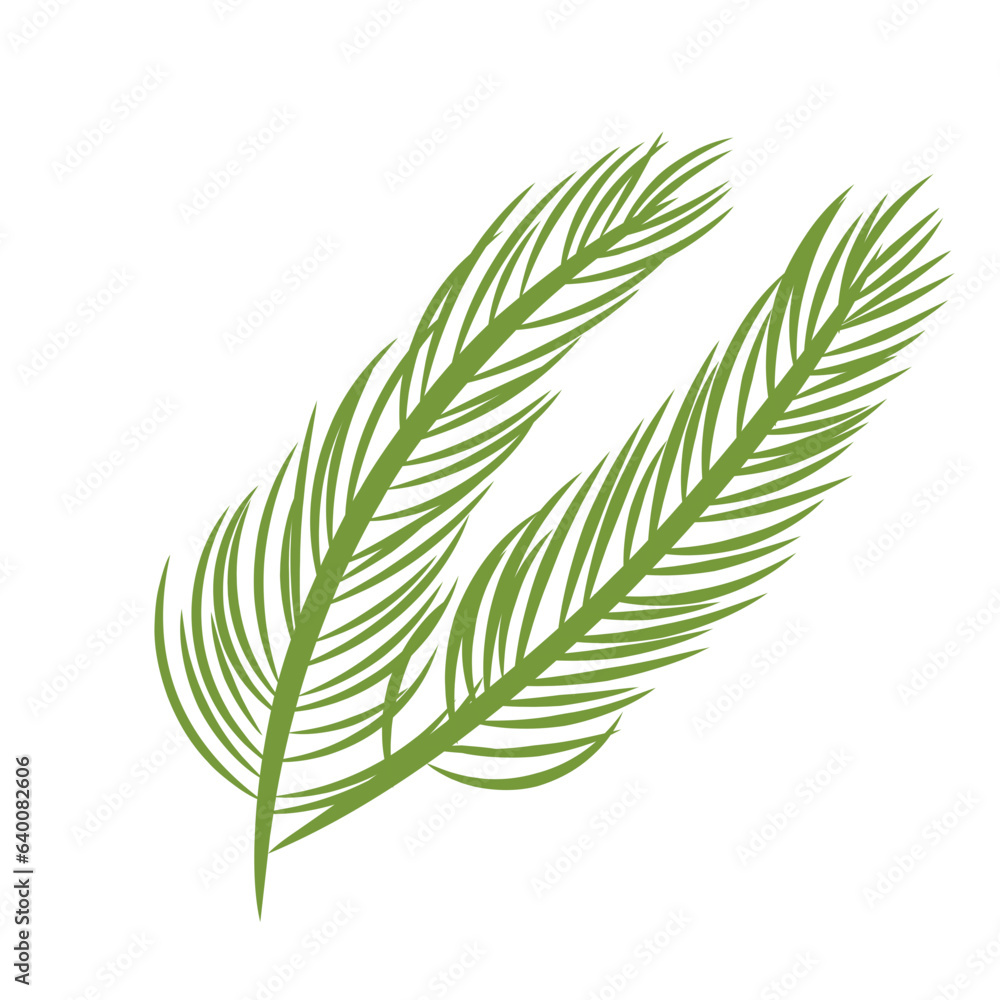 Fototapeta premium Green Palm Leaves