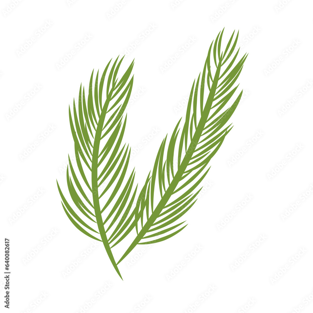 Fototapeta premium Green Palm Leaves