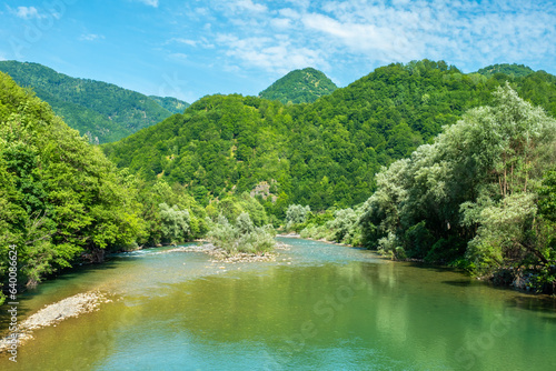 Tara River. Montenegro