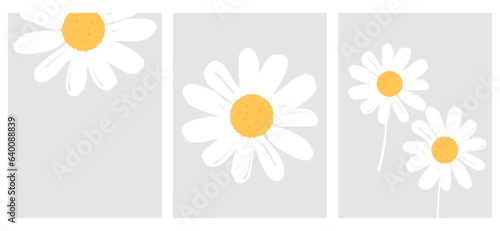 Daisy flower on grey backgrounds. Cute wall art decoration.