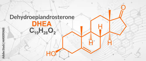 Androstenone or dehydroepiandrosterone chemical formula. Neurotransmitter and human hormones in brain