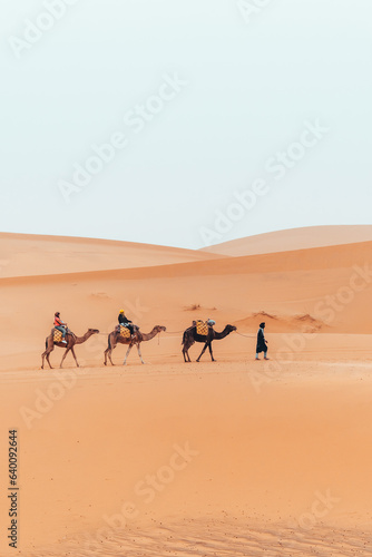 Camel trek with tourists through the sahara desert in Merzouga, Morocco