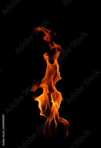 Burning flame isolated on dark background