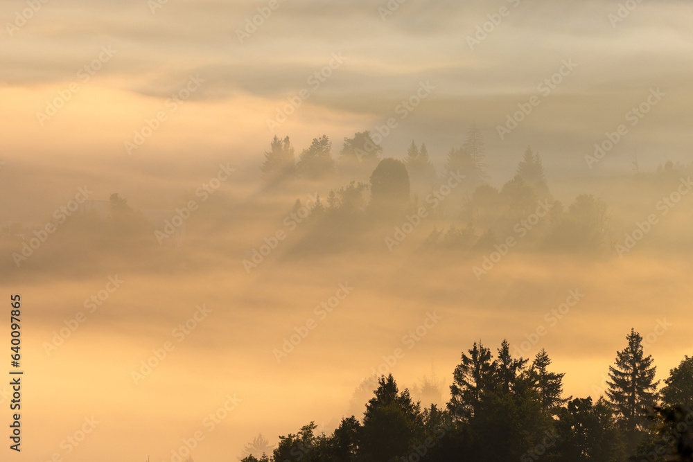Naklejka premium Dawn with golden morning mist in a mountain valley, Croatia