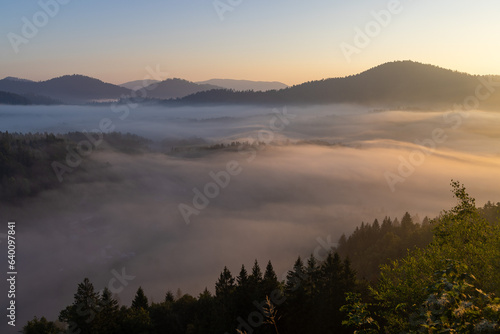 Dawn with golden morning mist in a mountain valley  Croatia