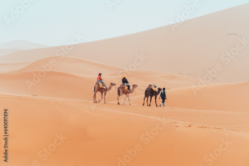 Camel trek with tourists through the sahara desert in Merzouga  Morocco