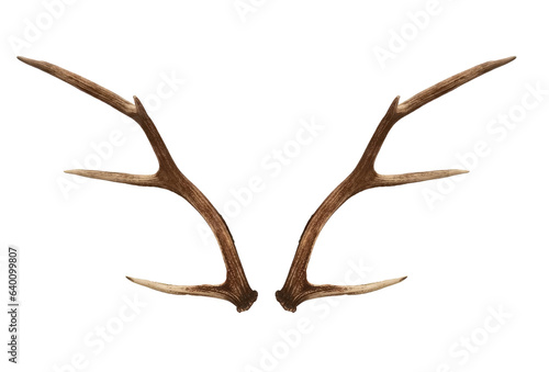 Christmas elements antlers hunting elk horns PNG easy to use © Magic