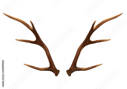 Christmas elements antlers hunting elk horns PNG easy to use © Magic