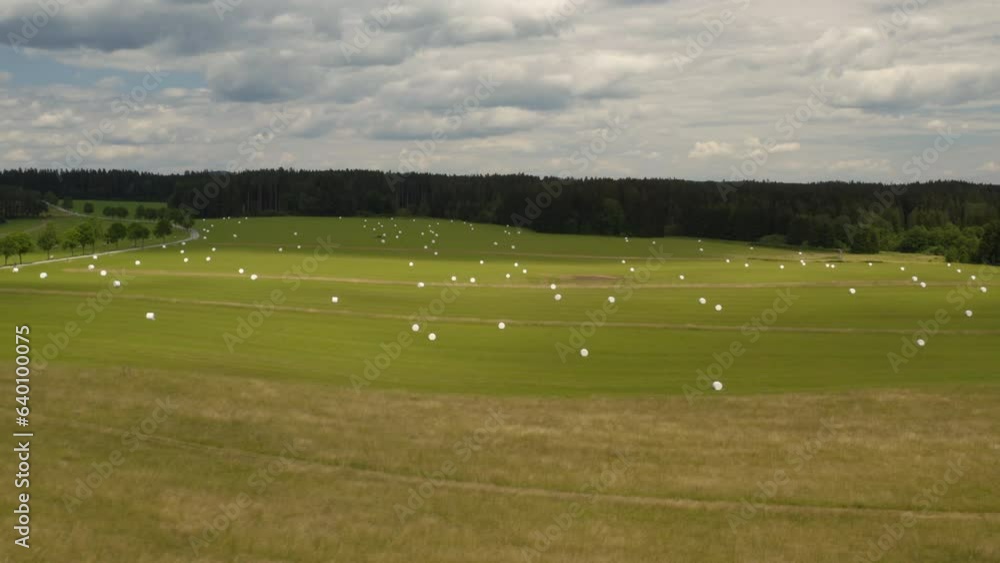 Large green farm field with white hay bales scattered all over. Large green farm field with white hay bales scattered all over.