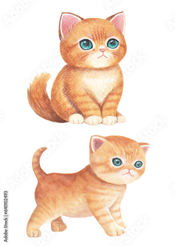 Watercolor ginger cat illustration © hwikyung