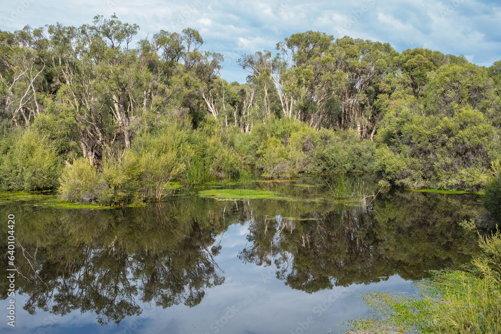 Herdsman Lake in Perth Herdsman Lake in Perth