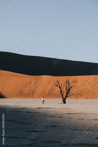 Minimalistic person walking in the stunning Deadvlei, Sossusvlei, Namibia © Peter