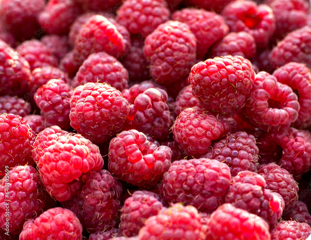 Raspberries in the rays of light, macro. Raspberries in the rays of light, macro.