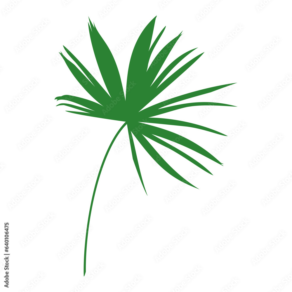 illustration of a tropical leaf illustration of a tropical leaf