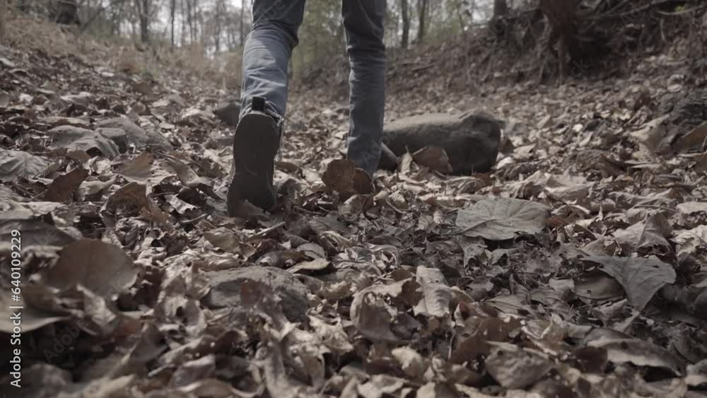 Feet of a man walking on a forest bed of dead dry leaves in India Feet of a man walking on a forest bed of dead dry leaves in India