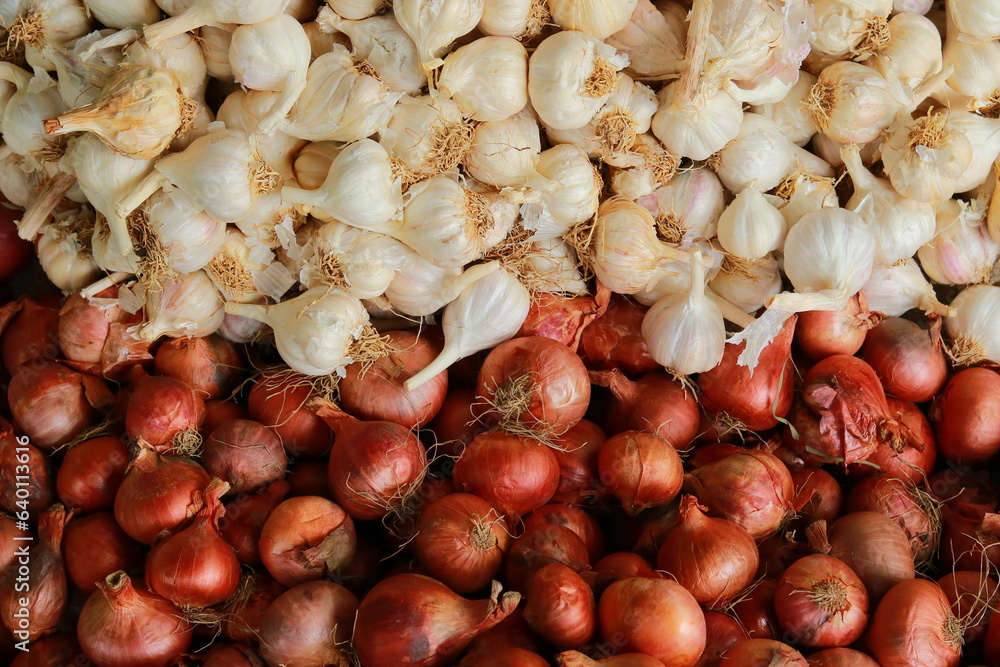 Onion and garlic on display at local market, Closeup of fresh red onions and garlic, Onion and garlic on display at local market, Closeup of fresh red onions and garlic,