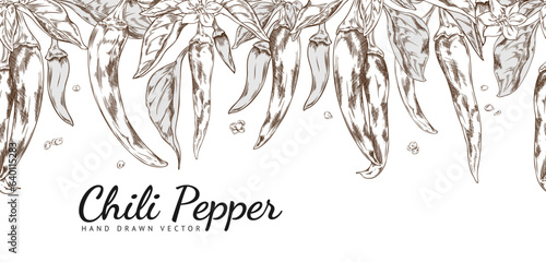 Seamless border with hand drawn chili peppers, flowers and leaves sketch style