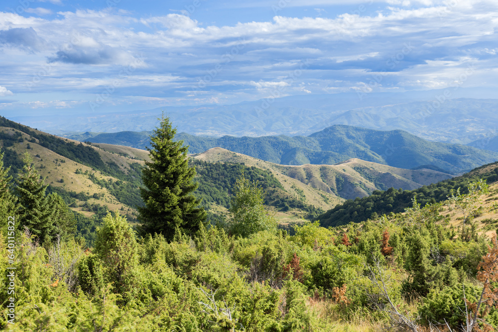 Obraz premium Summer nature mountains landscape. Scenery of green hills and fields. Beautiful blue sky with clouds. Panoramic view of Mountain Kopaonik, Serbia, Europe.