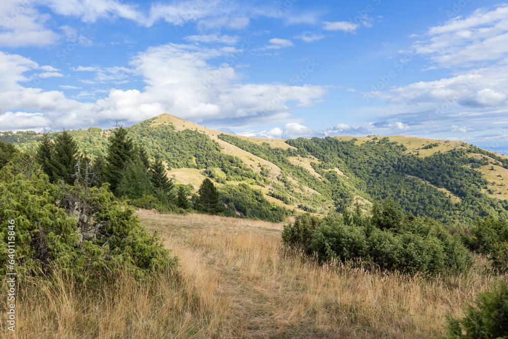 Summer nature mountains landscape. Scenery of green hills and fields. Beautiful blue sky with clouds. Panoramic view of Mountain Kopaonik, Serbia, Europe.