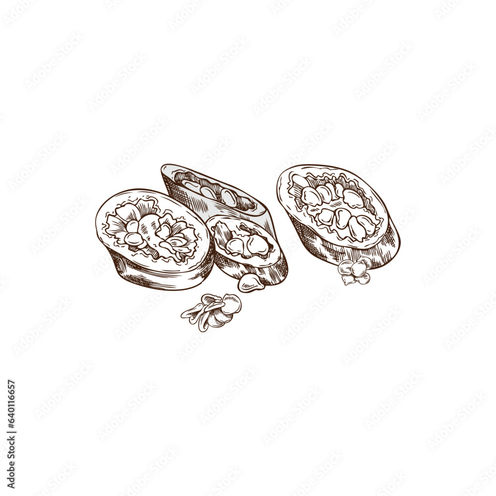 Hand drawn chopped chili peppers, sketch vector illustration isolated on white background.