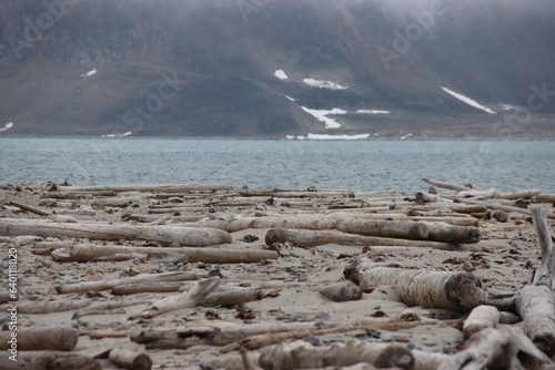 Driftwood on a beach in the Svalbard Archipelago, Norway.