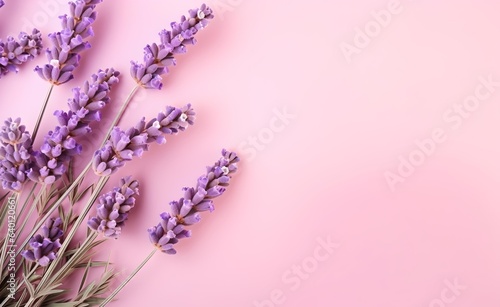 Rainbow spring lavender flowers on pink background top view in flat lay style. Greeting for Womens or Mothers Day.