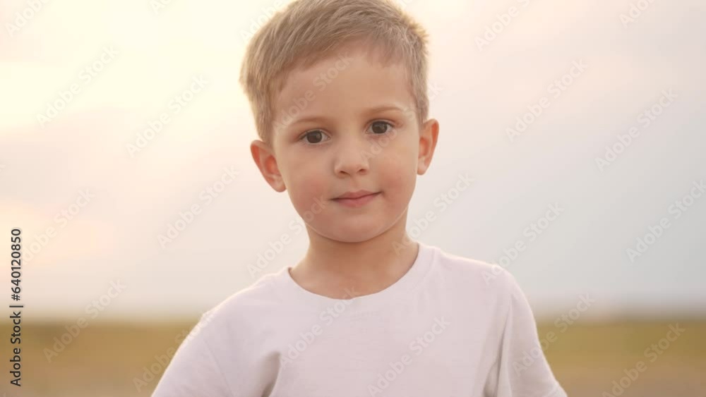 the boy looks into the camera. happy family kid dream concept. close-up of a child's face. the boy looks carefully. son in nature portrait. the child observes what is lifestyle happening around him the boy looks into the camera. happy family kid dream concept. close-up of a child's face. the boy looks carefully. son in nature portrait. the child observes what is lifestyle happening around him